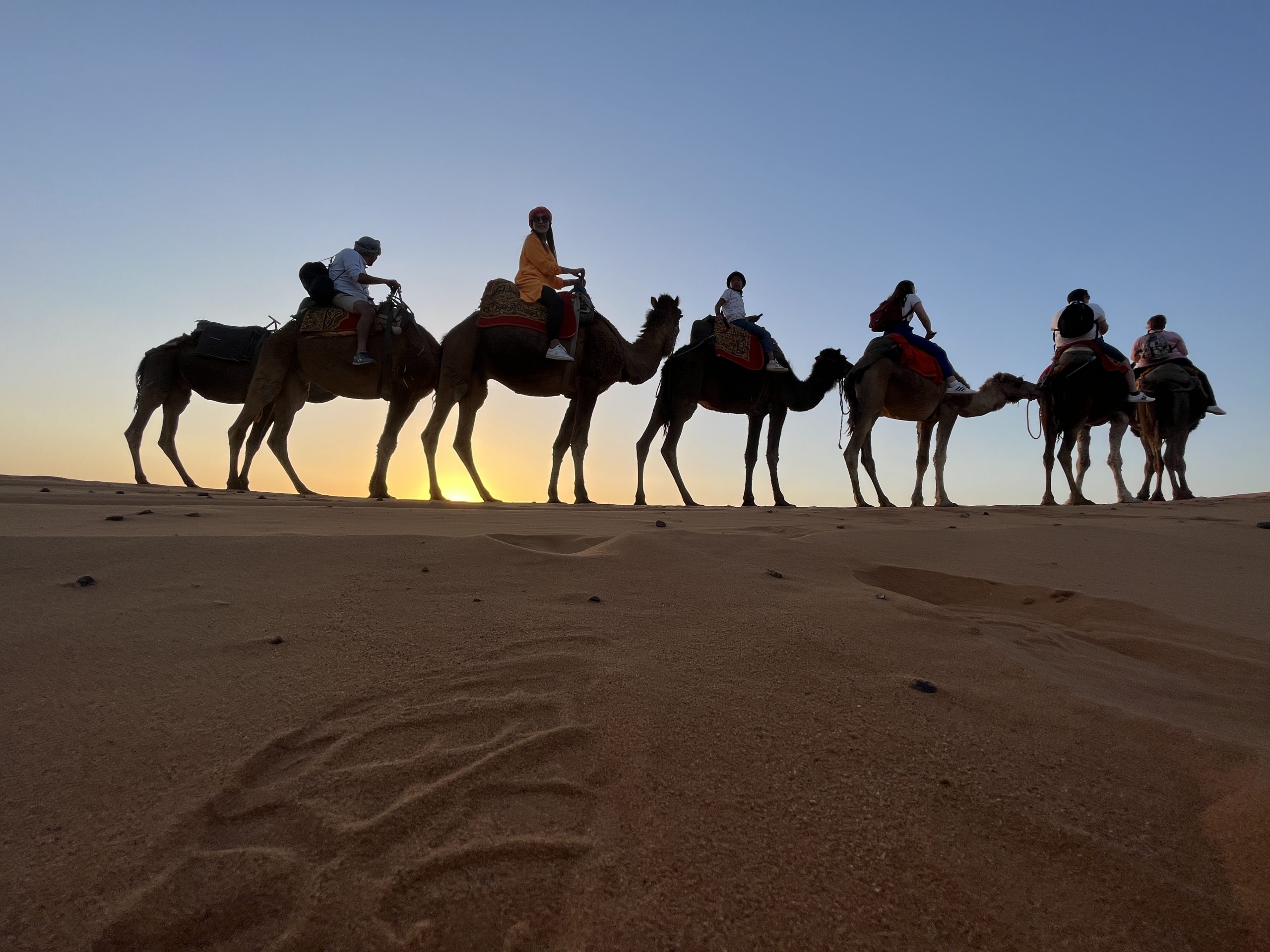 Paseo en dromedario al atardecer en el Sahara