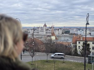 vistas de budapest